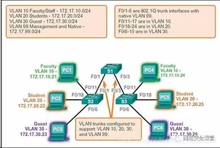 VLAN技术详解 构建灵活高效的企业网络